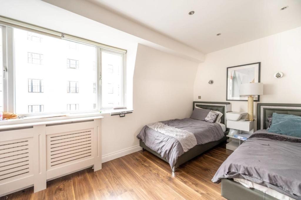 Stanhope Terrace Appartement Londen Buitenkant foto